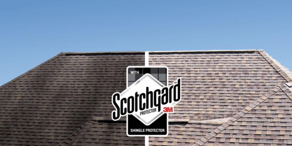 black streaks caused by algae